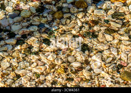 Sunlit Pebbles Beneath Crystal Clear Water Creating Natural Abstract Patterns Stock Photo