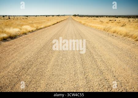 Dirt road winding through the savanna of Outjo District, Namibia, surrounded by open grasslands and scattered trees under a clear sky. Stock Photo