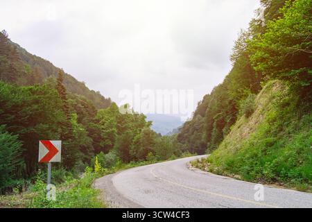 Landscape with an empty winding asphalt road through the forest on summer day. Road through forests in nature Stock Photo
