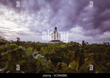 A vineyard stretches towards a historic building as dark clouds gather above during sunset. The scene captures nature and architecture in harmony. Stock Photo