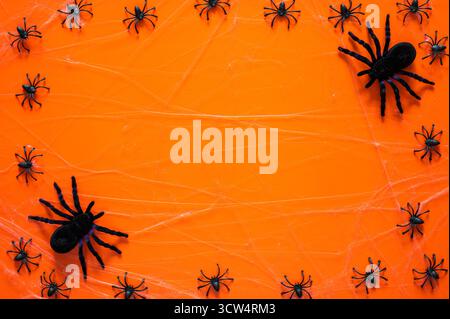 Halloween background with big and small spiders on cobweb on orange background. Minimal concept. Stock Photo