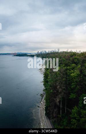A tranquil shoreline with a dark forest bordering the water, set against a distant city skyline under moody skies during twilight. Stock Photo