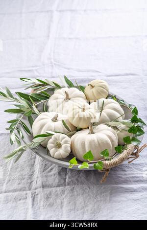 White pumpkins with green branches in a bowl on kitchen table Stock Photo