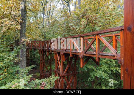 Wooden treetop walkway surrounded by lush green forest. Elevated eco bridge structure in autumn nature, symbolizing sustainability. Stock Photo