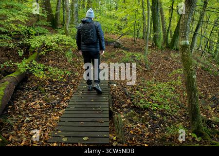 man walking over wooden pathway in autumn forest with leaves and tree around with backpack jacket and grey beanie, nature moment and man Stock Photo