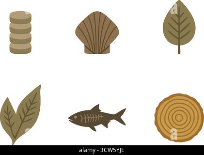Minimal natural history illustration with a stylized green leaf a small fish skeleton and a circular wood tree ring slice on a clean white background Stock Vector