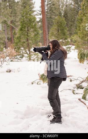 Photographer captures winter moments in snowy Tahoe forest Stock Photo
