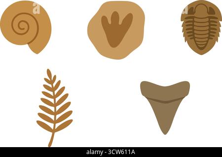 Detailed paleontology themed illustration featuring multiple fossil icons including an ammonite a dinosaur track a trilobite a stack of crinoid column Stock Vector