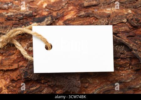 A white blank label with a string on the bark of a tree trunk in a close up view Stock Photo