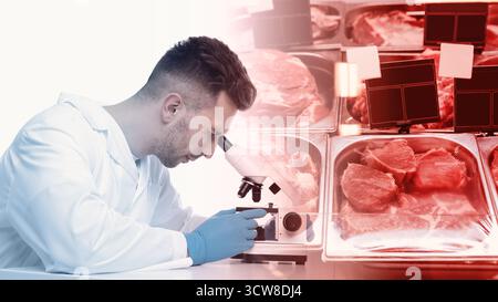 Food quality analysis. Laboratory worker using microscope, double exposure with fresh raw meat products on display Stock Photo