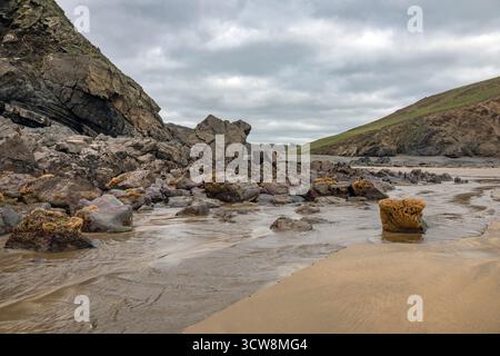 Magnificent rocks and wildlife on Duckpool beach North West Cornwall Stock Photo