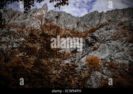 Towering Limestone Cliff Face with Autumn Foliage Below Stock Photo