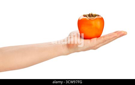 persimmon in hand path isolated on white Stock Photo