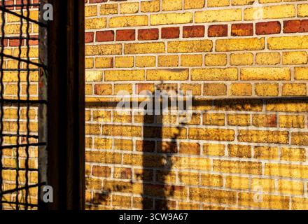 Warm sunlight casting shadows of a metal fence and plants on a textured yellow brick wall, creating an artistic background. Stock Photo