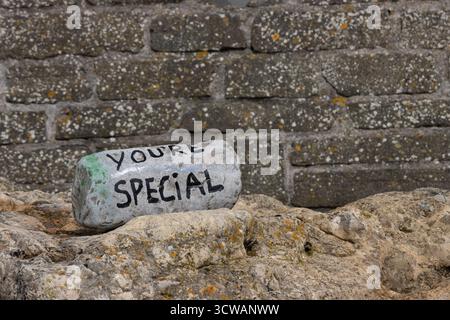 The words You're Special written on grey stone on a rock by a brick wall Stock Photo