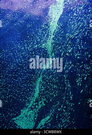 Bioluminescent particles illuminate water, forming a textured stream pattern across a dark blue and purple backdrop, creating an abstract, otherworldl Stock Photo