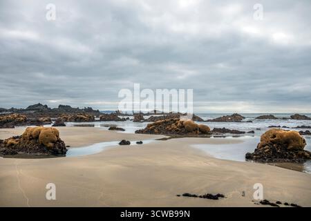 Duckpool Warren point beach unspoilt secret North West Cornwall Stock Photo