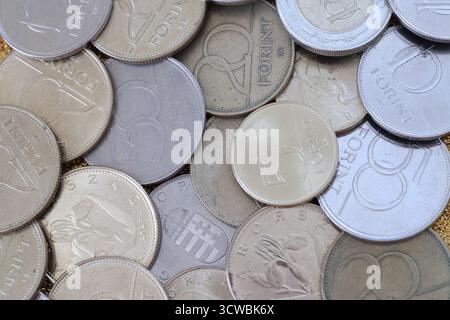 Many forint coins in big pile close up. Forint is an official Hungarian currency instead euro Stock Photo