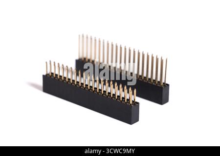 40-Pin GPIO connector header isolated on white background. 2x20 pins ...