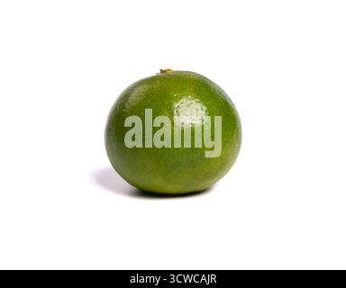 Green tangerine orange fruit or clementine isolated on white background. Mandarin orange Stock Photo