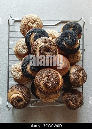 Different types of bread rolls and pretzels in a bread basket, Weinviertel Lower Austria Austria Stock Photo