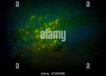 Abstract green bubbles suspended in deep water, resembling plankton, cosmic particles, or microscopic energy in motion. Stock Photo