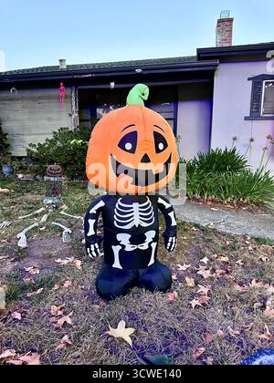 Inflatable Pumpkin Skeleton Halloween Decoration in Front Yard Stock Photo