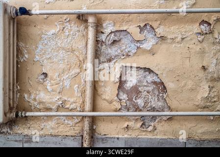 Mold and damp damage with large stains and peeling plaster on interior wall of apartment, unhealthy living conditions and housing problem concept. Stock Photo
