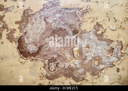 Close up texture of mold and damp on damaged interior wall with peeling plaster, showing humidity problem, fungus and unhealthy building condition. Stock Photo