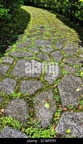 Close-up view of a stone pathway winding through a garden, with irregular stone slabs covered in patches of moss and small plants growing between the Stock Photo