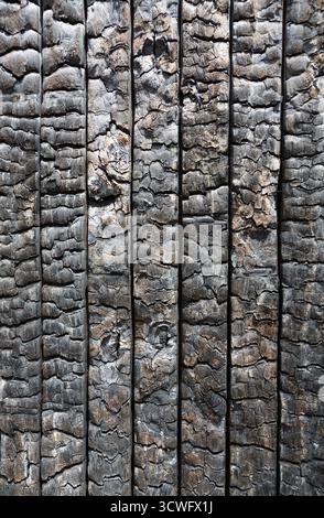 Charred wooden planks show varying degrees of combustion, displaying a cracked, blackened surface. The texture is rough, with patterns resembling scal Stock Photo
