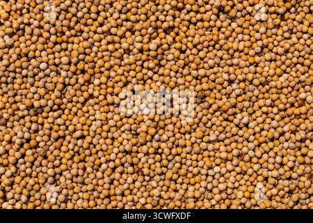 dry peas on a background close-up view from above. Stock Photo