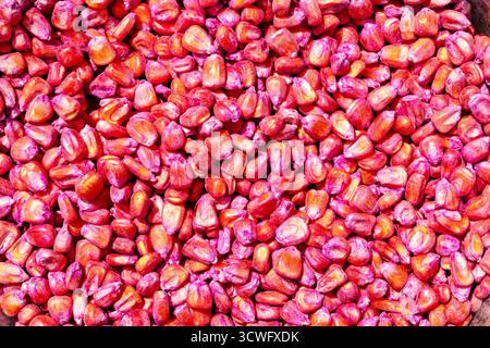 Popcorn kernels close-up. Food texture, pattern. Beautiful background of popcorn for various uses. Stock Photo