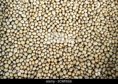 dry seeds view from above. grain crops. background from soy Stock Photo