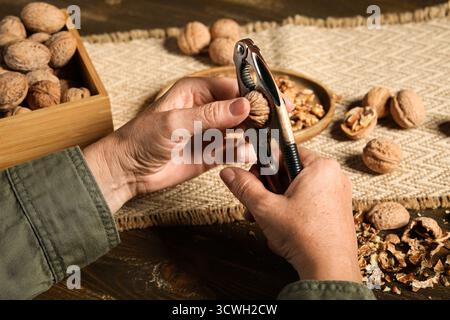 Woman cracking walnuts with nutcracker on wooden table Stock Photo