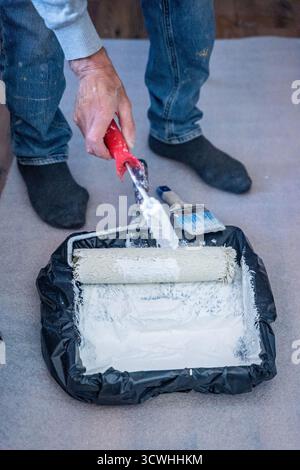 Man using paint roller with white paint during home renovation work indoors Stock Photo