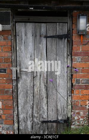 Old latched barn door Stock Photo