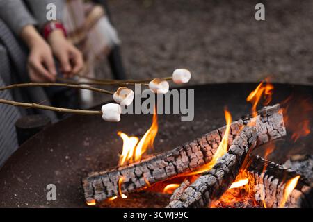 Women’s hands roasting marshmallows on sticks over the fire. Stock Photo