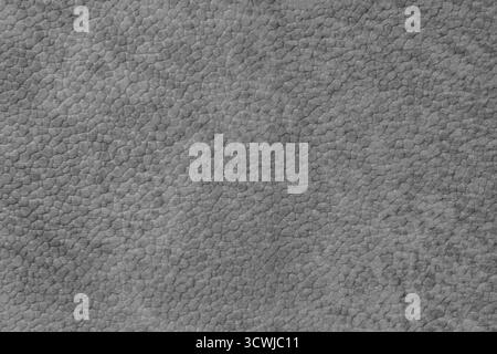 Detailed close up, macro of gray synthetic suede leather texture, faux leather, leatherette. Background for design, fashion, upholstery material visua Stock Photo