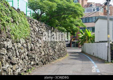 A tall basalt stone wall lines a narrow alley in Hwabuk‑dong, capped with ivy and shaded by roadside trees beside neighborhood homes. Stock Photo