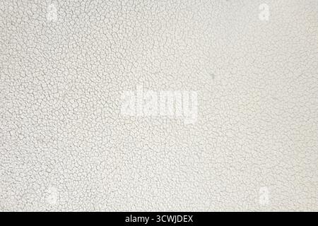 Surface features a network of fine cracks, showcasing a light color and intricate patterns. This natural texture adds depth and visual interest to any Stock Photo