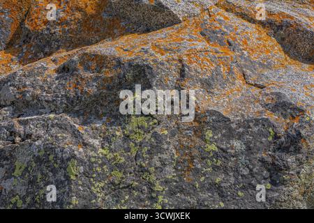 Textured rock covered in orange and green lichen outdoors Stock Photo