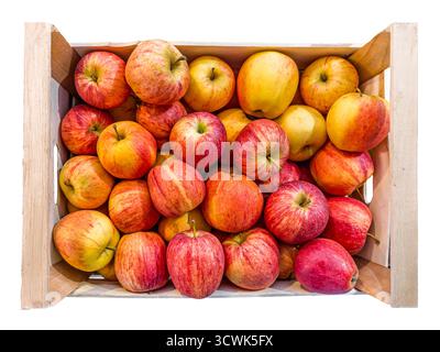 Gala apples arranged in wooden crate isolated  on  white  in top view with clipping path included. The apple variety was developed in New Zealand Stock Photo