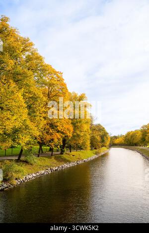 Colorful leaf trees in yellow and orange autumn foliage by Djurgårdskanalen, in Stockholm, with fall colored leaves on a bright sunny October day Stock Photo
