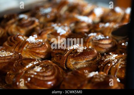 Freshly baked Swedish cinnamon buns on a tray for a fika Stock Photo