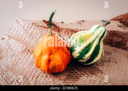 Two decorative multi-colored pumpkins on a craft paper background. Autumn holidays, Halloween, Thanksgiving concept. Closeup. Stock Photo