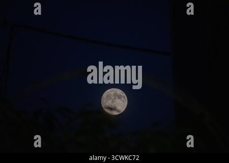 A rare lunar halo or moonbow faintly visible around a bright full moon in the deep blue night sky, viewed through the soft silhouettes of trees. An at Stock Photo