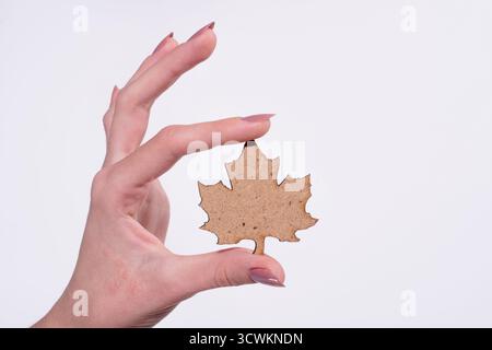 Autumn leaf in hand. Fall leaf in hands. Closeup of autumn foliage in human hand. Red and orange leaf in hand. Seasonal autumn concept. Hand holding Stock Photo