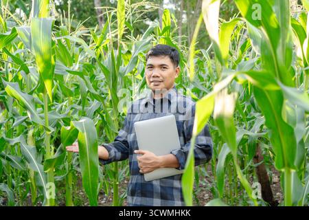 Farmer Standing In Corn Field Holding Laptop Examining Crops In Natural Light Stock Photo