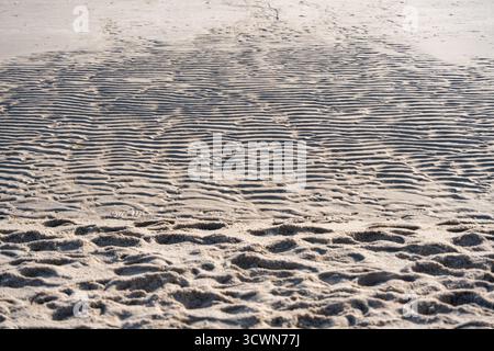 The sand shows delicate ripple patterns formed by wind and water, creating a textured surface. Gentle shadows emphasize the wave-like structure. Stock Photo